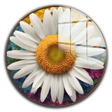 Graceful Round Glass Wall Art - Tempered Glass Circle Wall Decor