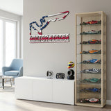 Circuit of the Americas Formula One Metal Race Map – USA Flag Wall Art
