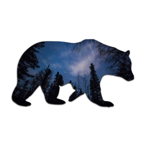 Night Bear Color Metal